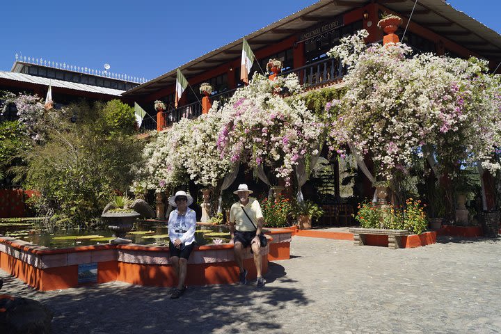 El Tuito Day Trip from Puerto Vallarta with Tequila and Lunch image