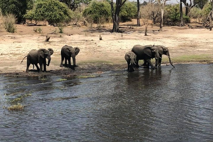 Luxurious Dinner Cruise, Victoria Falls image