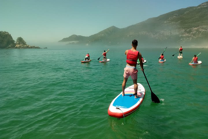 Stand Up Paddle Classes image