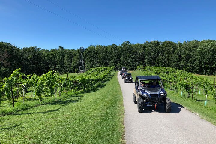 Tennessee Hampshire Winery Tour 4 Hour Guided SXS Ride image