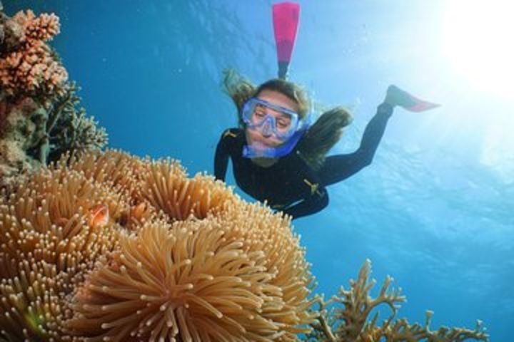 Quicksilver Outer Great Barrier Reef Snorkel Cruise from Port Douglas image