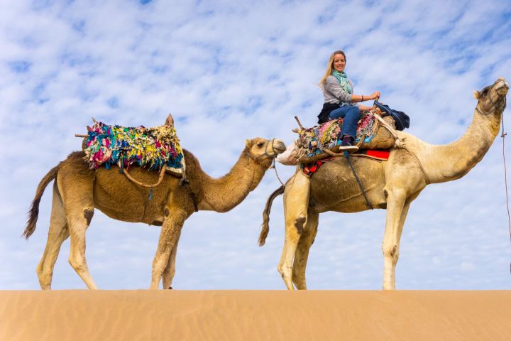 Marsa Alam Desert Camel Ride image