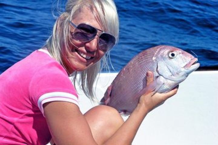 Half-Day Reef Fishing near Albufeira image