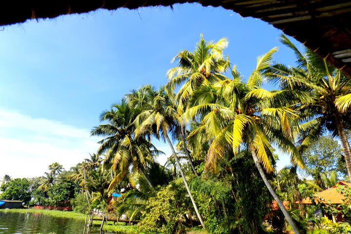 Kochi Over View & Kathakali & Dinner.Tour image