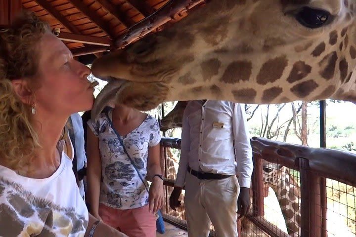 Day Tour at Nairobi National Park elephant orphanage, giraffe cent karen museum image