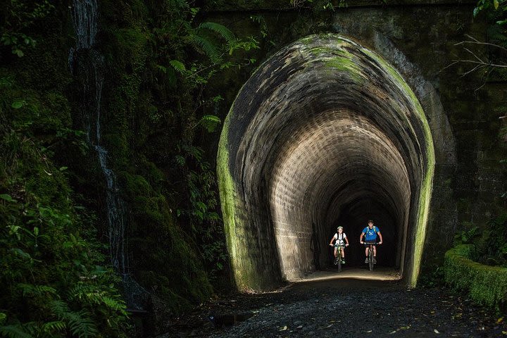 Remutaka Rail Trail Cycle Explorer - Cruise Ship Shore Excursion image