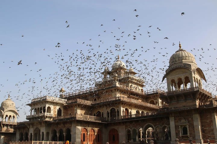 Guided tour of Royal Trails of Jaipur with a local (4 Hrs in AC Car) image