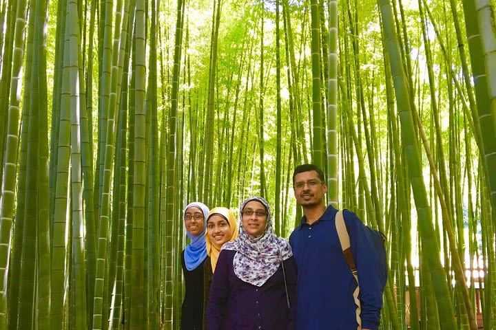 Kamakura Private Half-Day Muslim-Friendly Tour image