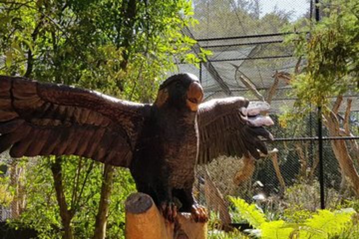 Healesville Sanctuary and Rayners Orchard Tour from Melbourne image