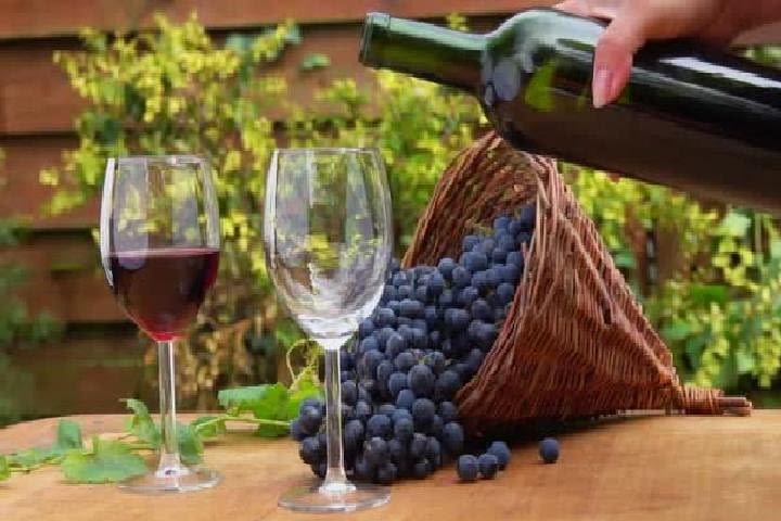 wine tours in wine country mendoza Argentina image