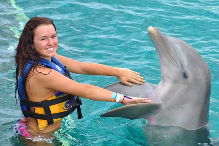 Isla Mujeres, Sail on a Catamaran + Snorkel + Dolphins image