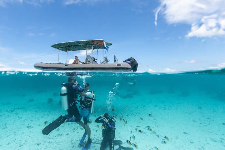 Small-Group Introductory Scuba Diving Experience in Bora Bora image