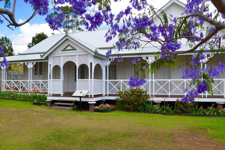 Private Tour to Paronella Park, Historic Village Herberton and wild life Wallaby image