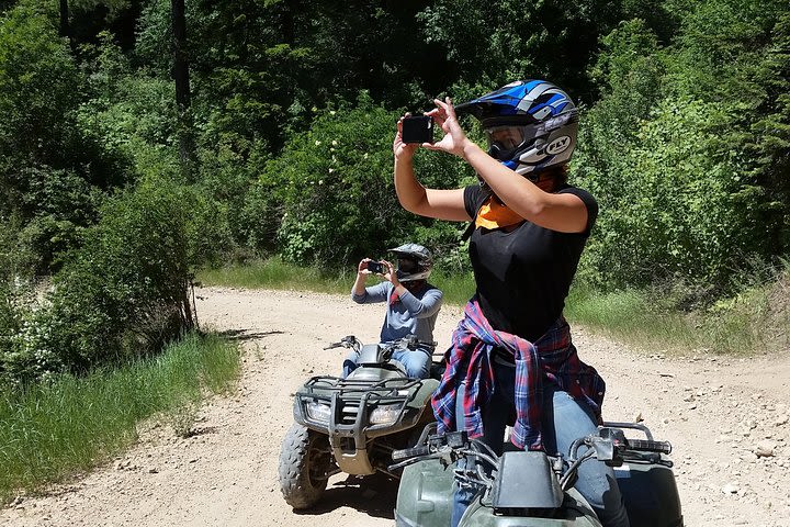 Guided Off-Road Vehicle Tours in North Idaho Forests image