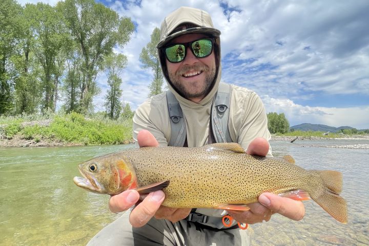 Full-Day Fly Fishing Trip in Jackson Hole image