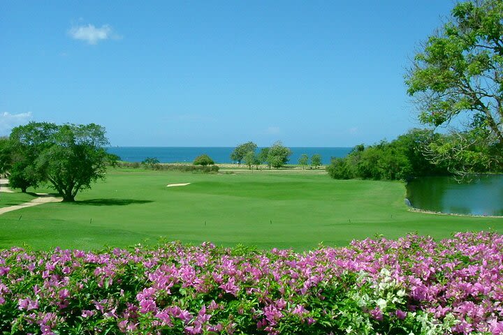 Teeth of the Dog - Casa de Campo image