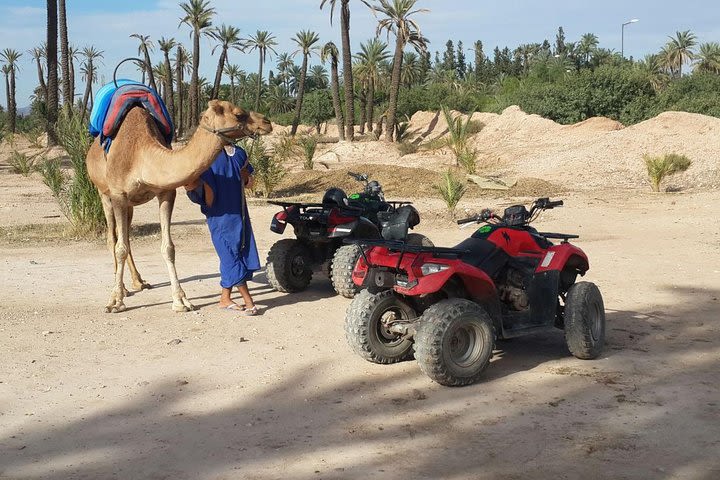 Marrakech 2 Hours Quad Camel Tour image