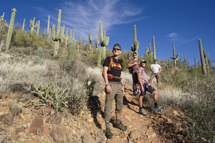 Amazing 2-Hour Guided Hiking Adventure in the Sonoran Desert image