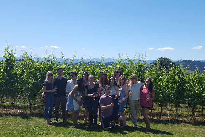 Private Wine Tour for 4 people image