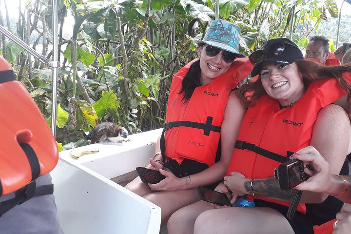 MONKEYS ISLANDS WITHIN THE GAMBOA RAIN FOREST image