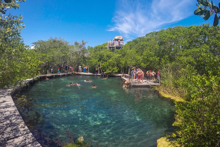 Holbox Island Tour image