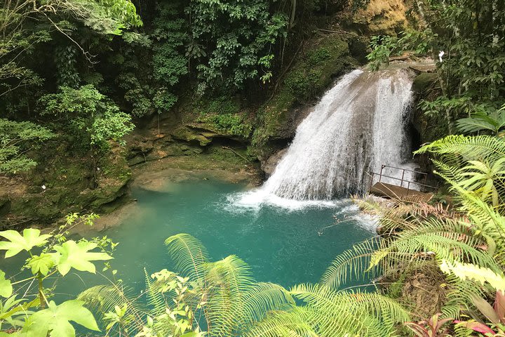 Combo Tour Dunn's River Falls and BlueTour from falmouth image