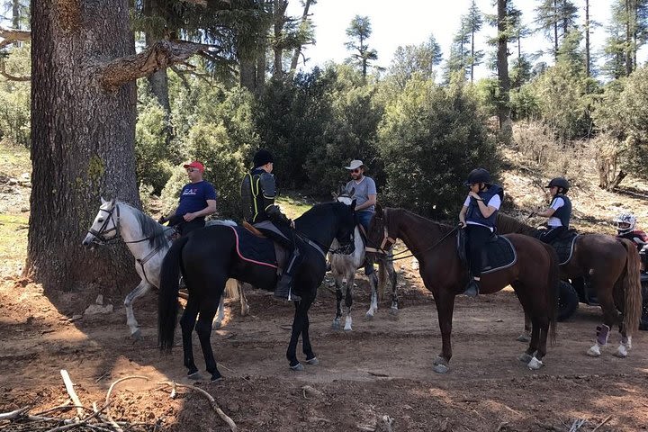 Horseback Riding: EL GHANDOURI - Tangier - 2 hours image