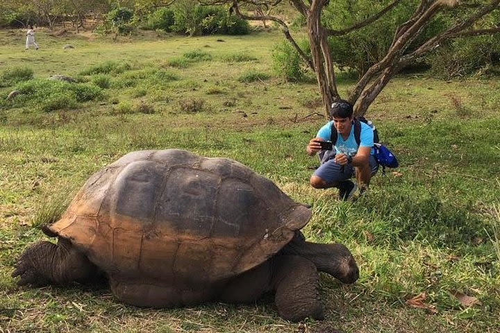 4 Day Galápagos en Santa Cruz Island Land Tour image