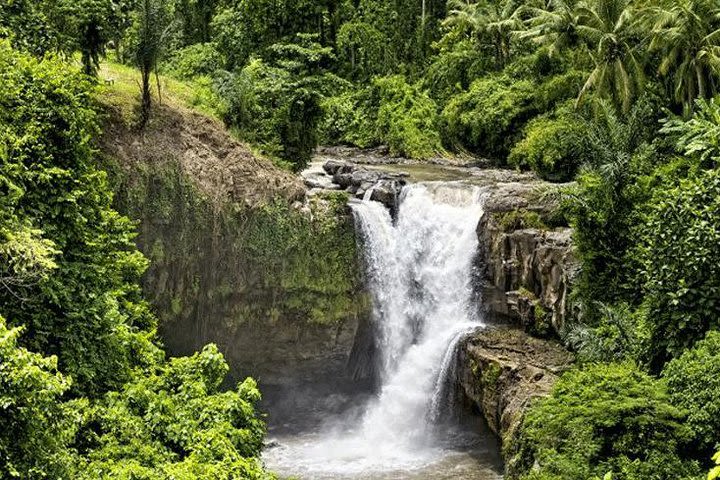 Ubud Highlight: Sacred Monkey Forest, Tegenungan Waterfall, Rice Terrace image