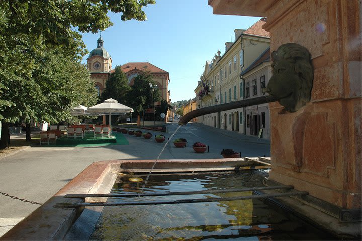 Private Day Tour to Fruska Gora Monasteries, Sremski Karlovci and Novi Sad image