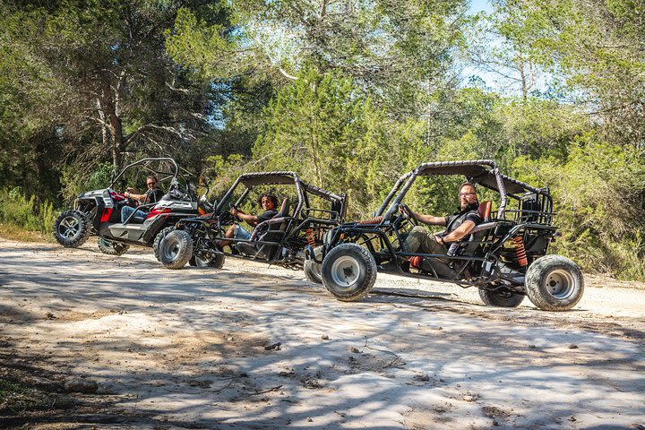 Big Buggy Tour - 1 Big Buggy 2 persons per Big Buggy image