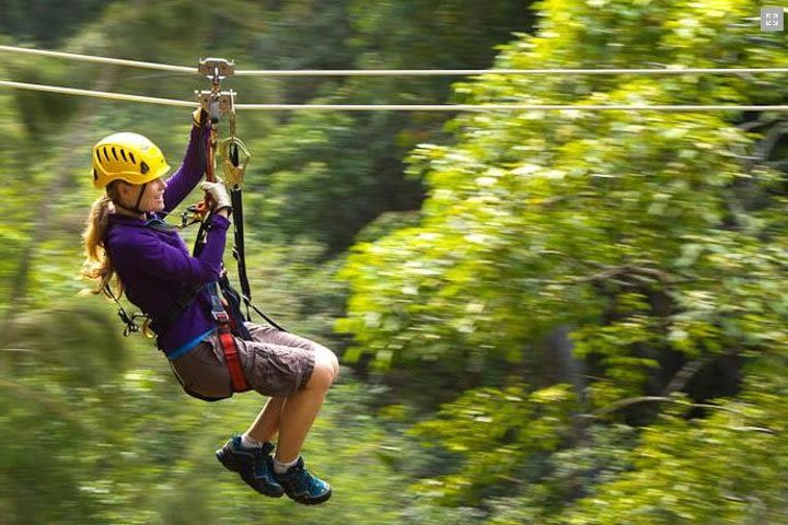 Big Island Kohala Canopy Zipline Adventure image