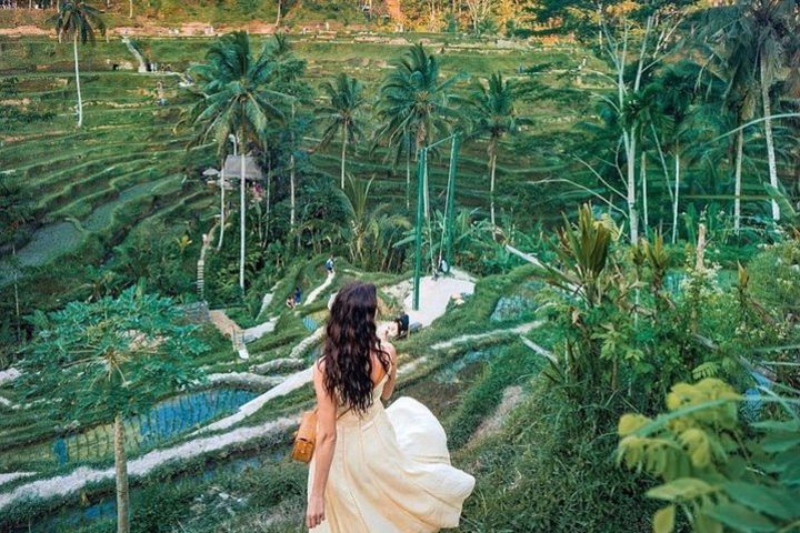 Private Tour: Best Attractions in Ubud by Tripadvisor image