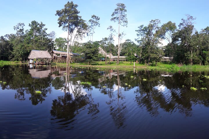 5-Days Wildlife Spotting in Tamshiyacu-Tahuayo Reserve at Curassow Amazon Lodge image