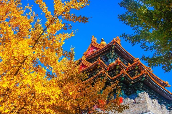 Quality Small Group Beijing Layover Tour to Forbidden City image