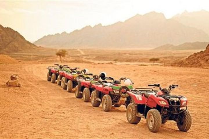 Hurghada, Red Sea sunset desert safari trip by quad bike image