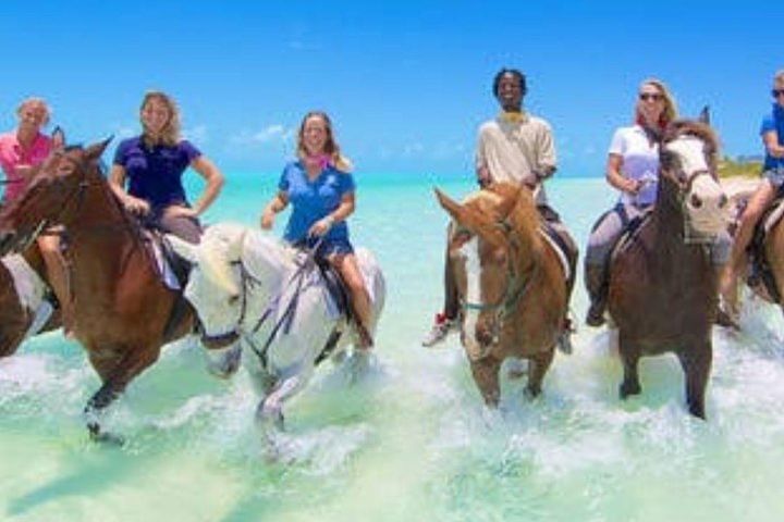 Beach Horse Ride  image