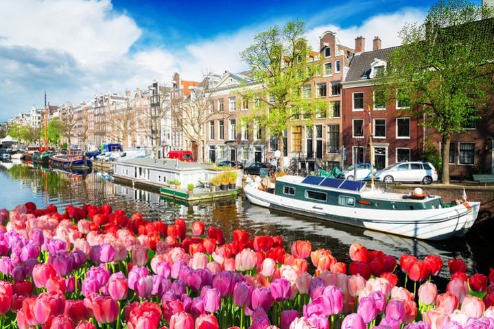 Amsterdam Private Sightseeing Tour for Kids & Families w/Local Guide image