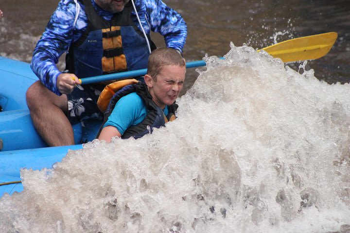 Durango Family-Friendly 2-Hour Rafting Trip image