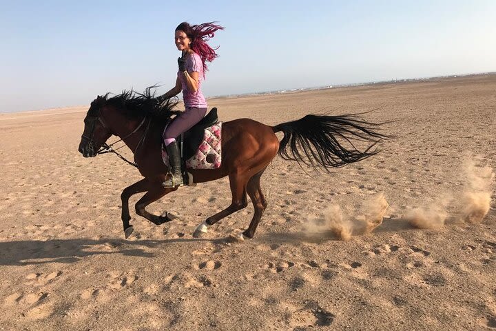 One Hour Camel Or Horse Riding The Wonderful Desert Of Egypt - Sharm El Sheikh image