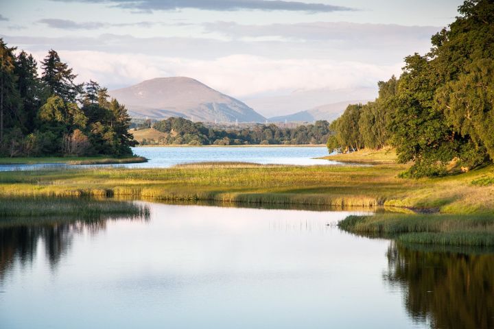 Cairngorms & Whisky Day Tour from Inverness image