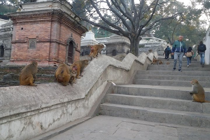 Sightseeing Day Tour In Kathmandu image