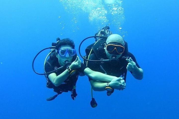 Koh Chang Dive Trip Including 3 Dives (Start at Koh Chang) image