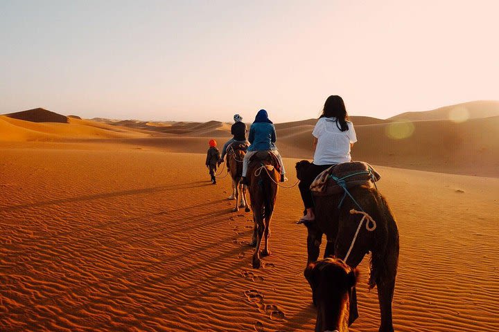 Fez to Fez Desert Tour 2 Days/1Night  image