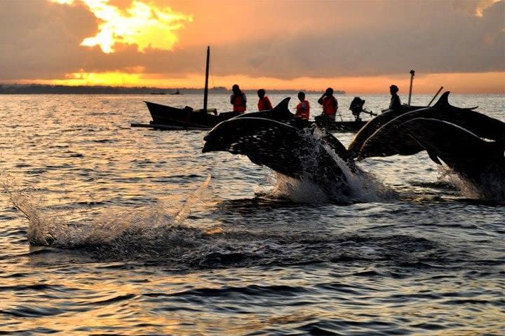 Private Tour in Bali: Dolphin and Sunrise Watching in Lovina Beach image