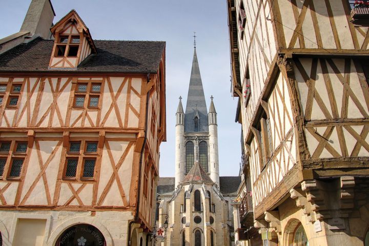 Dijon Guided Walking Tour (private) image