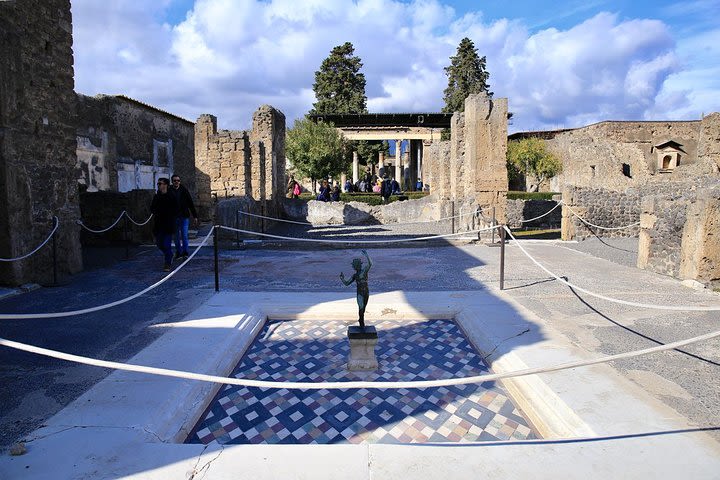 Skip-the-Line Ancient Pompeii & Naples Archaeological Museum Full Day Tour image