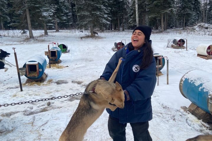 Dog Sledding - Subarctic Wilderness Tour image