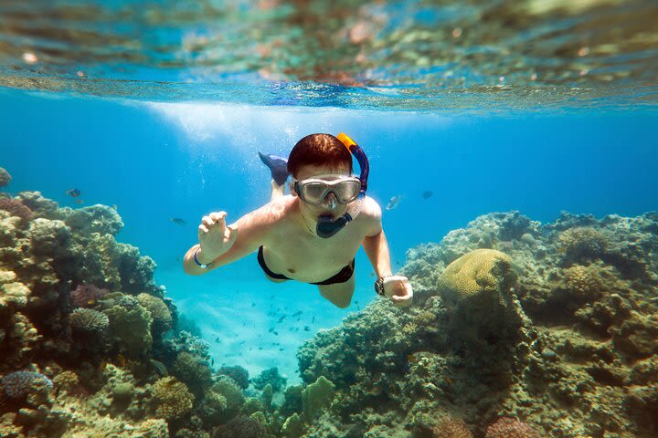 Acapulco Snorkeling Tour image