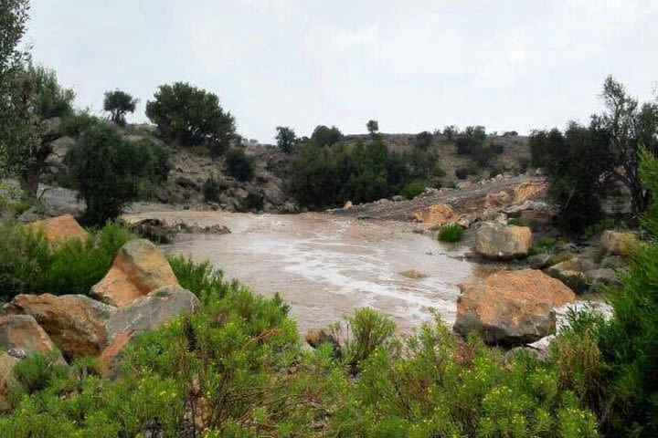 Jebel Akhdar Tour ( per vehicle) image